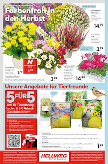 Rindenmulch Angebot im Hellweg Prospekt, gültig von 15.09.2025 bis 20.09.2025 Rindenmulch Angebot im aktuellen Hellweg Prospekt auf Seite 24