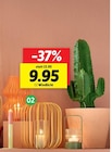 Aktuelles Windlicht Angebot bei Sconto SB in Hamburg ab 9,95 €