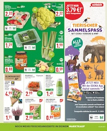 Saft im Marktkauf Prospekt "Aktuelle Angebote" mit 20 Seiten (Gelsenkirchen)