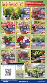 Aktueller CENTERSHOP Prospekt mit Balkonpflanzen, "Da geht was.", Seite 2