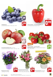 Blumen im aktuellen EDEKA Prospekt (Trier) Blumen im EDEKA Prospekt "Aktuelle Angebote" mit 32 Seiten (Trier)