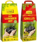 Holzkohlebriketts Grillis Angebote von Profagus bei REWE Lünen für 7,50 €
