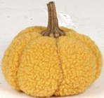 Plush Pumpkin Yellow Angebote bei Thomas Philipps Suhl für 2,99 €