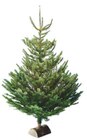 SAPIN NORDMANN COUPÉ 150/175 CM AVEC BÛCHE OFFERTE à Intermarché dans Ermont SAPIN NORDMANN COUPÉ 150/175 CM AVEC BÛCHE OFFERTE à Intermarché dans Ermont