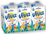 Lait UHT vitamine Viva - Candia - Super U à Nanterre Lait UHT vitamine Viva - Candia en promo chez Super U Nanterre à 5,20 €