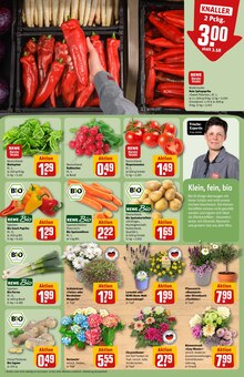 Kartoffeln im aktuellen REWE Prospekt (Hildesheim) Kartoffeln im REWE Prospekt "Dein Markt" mit 32 Seiten (Hildesheim)