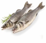 EDEKA Ernst - Wolfsbarsch (Loup de Mer) Angebot im Prospekt Wolfsbarsch (Loup de Mer) bei EDEKA im Ernst Prospekt für 1,99 €