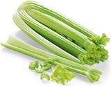 Aktuelle Gemüse Angebote bei REWE in Hamburg Aktuelles Staudensellerie Angebot bei REWE in Hamburg ab 0,99 €