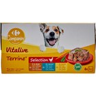 Terrines pour chiens - CARREFOUR COMPANINO VITALIVE en promo chez Carrefour Terrines pour chiens - CARREFOUR COMPANINO VITALIVE dans le catalogue Carrefour