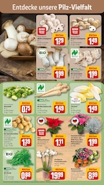 Ähnliche Leinsamen Angebote im Prospekt "Dein Markt" von REWE Ähnliches Angebot bei REWE in Prospekt "Dein Markt" gefunden auf Seite 7