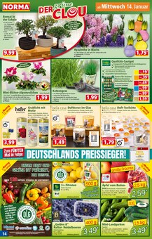 Kerzen im aktuellen Norma Prospekt (Würzburg) Kerzen im Norma Prospekt "Mehr fürs Geld" mit 20 Seiten (Würzburg)