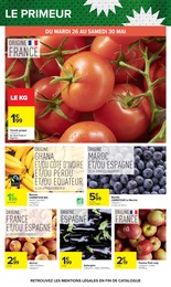 Offre Arbre Fruitier dans le catalogue Carrefour du moment à la page 28