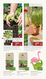 Gewächshaus Angebot im aktuellen Pflanzen Kölle Prospekt auf Seite 6
