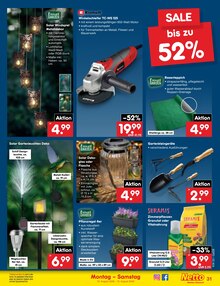 Pflanzen im aktuellen Netto Marken-Discount Prospekt (Bremen) Pflanzen im Netto Marken-Discount Prospekt "Aktuelle Angebote" mit 63 Seiten (Bremen)