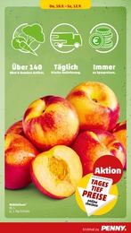 Schlachtekraut Angebot im aktuellen Penny Prospekt auf Seite 31