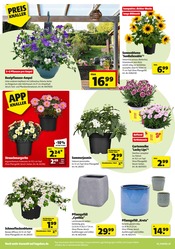 Aktueller Hagebaumarkt Prospekt mit Blumentopf, "Pflanze mit uns Blütenfreude", Seite 2