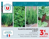 Plantes Aromatiques - U Bio dans le catalogue Hyper U