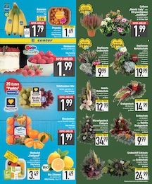 EDEKA Schal im Prospekt EDEKA Schal im Prospekt