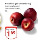 GLOBUS Braunschweig Prospekt mit  im Angebot für 1,69 €