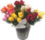 Bouquet 5 Roses Premium en promo à 2,99 € chez Aldi Bouquet 5 Roses Premium dans le catalogue Aldi