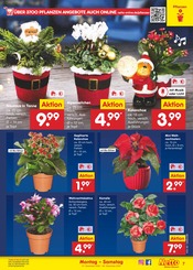 Aktueller Netto Marken-Discount Prospekt mit Garten, "Aktuelle Angebote", Seite 7