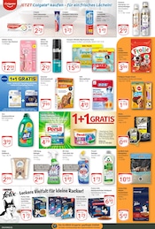 Aktueller GLOBUS Prospekt mit WC, "Aktuelle Angebote", Seite 19