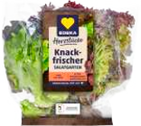 Ballensalat Mix im Angebot bei EDEKA Frischemarkt in Schwerin Ballensalat Mix Angebote von Edeka Herzstücke bei EDEKA Frischemarkt Schwerin für 1,00 €