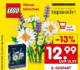 Gänseblümchen bei Netto Marken-Discount im Prospekt "" für 12,99 €