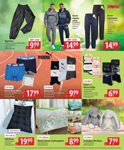 Socken im famila Nordost Prospekt in Elmshorn Aktueller famila Nordost Prospekt mit Socken, "besser als gut!", Seite 22