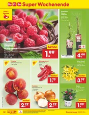 Aktueller Netto Marken-Discount Prospekt mit Dekoration, "Aktuelle Angebote", Seite 38