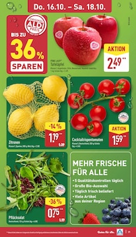Grablicht Angebot im ALDI Nord Prospekt, gültig von 13.10.2025 bis 18.10.2025 Grablicht Angebot im aktuellen ALDI Nord Prospekt auf Seite 31