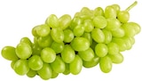 REWE Pressath - Helle Tafeltrauben Angebot im Prospekt Helle Tafeltrauben bei REWE im Pressath Prospekt für 1,49 €