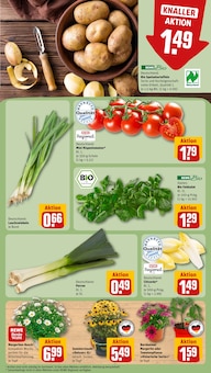 Pflanzen im REWE Prospekt "Dein Markt" mit 18 Seiten (Erlangen)