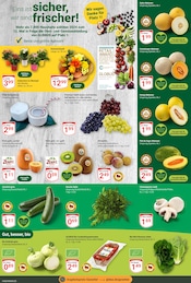 Aktueller GLOBUS Prospekt mit Obst, "Aktuelle Angebote", Seite 5