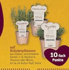 10-fach Punkte von  im aktuellen tegut Prospekt für 