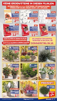 Gartenerde im CENTERSHOP Prospekt "Da geht was." mit 16 Seiten (Dortmund)