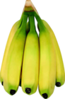 Aktuelle Bananen Angebote bei E center in Pforzheim Aktuelles Bananen Angebot bei E center in Pforzheim ab 1,00 €