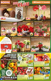 Tomaten im aktuellen Norma Prospekt (Mönchengladbach) Tomaten im Norma Prospekt "Mehr fürs Geld" mit 20 Seiten (Mönchengladbach)