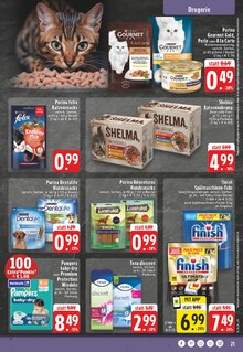 Katzenfutter im EDEKA Prospekt "Aktuelle Angebote" mit 24 Seiten (Hamm)