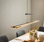 LED-Hängeleuchte „Leogang“ im Angebot bei XXXLutz in Offenbach LED-Hängeleuchte „Leogang“ Angebote von WALDWELT bei XXXLutz Offenbach für 249,90 €