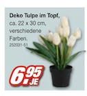 Deko Tulpe im Topf Angebote bei Möbel AS Rottenburg für 6,95 €