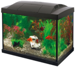 Kit aquarium Start 20 – 16L - Superfish dans le catalogue Animalis