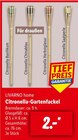 Citronella-Gartenfackel im Angebot bei Lidl in Siegen Citronella-Gartenfackel Angebote von LIVARNO home bei Lidl Siegen für 2,00 €