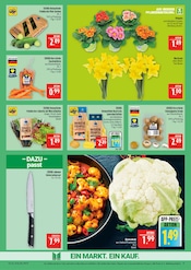 Aktueller Marktkauf Prospekt mit Kuchen, "AUSWAHL RIESIG, PREISE NIEDRIG", Seite 11