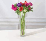 Bouquet 10 Anemones en promo chez U Express Houilles à 4,79 €