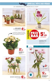 Fleurs Angebote im Prospekt "Super U" von Super U auf Seite 31