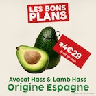 Promo Avocat Hass & Lamb Hass à 4,29 € dans le catalogue So.bio à Noyon