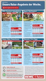 REWE Bücher im Prospekt 