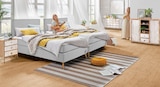 Boxspringbett Sansibar POEL Angebote von Sansibar bei Trends Marl für 799,00 €