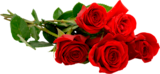 BOUQUET DE 5 ROSES TRÈS GROS BOUTONS - SANS MARQUE - Auchan Hypermarché à Bordeaux BOUQUET DE 5 ROSES TRÈS GROS BOUTONS - SANS MARQUE en promo chez Auchan Hypermarché Bordeaux à 4,99 €